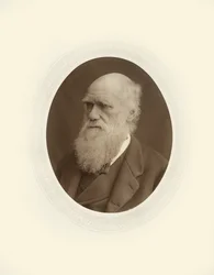 Charles Robert Darwin